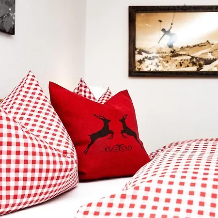 Alpspitzecho Apartment